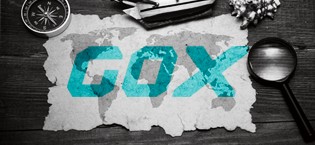 GOX TRAVEL